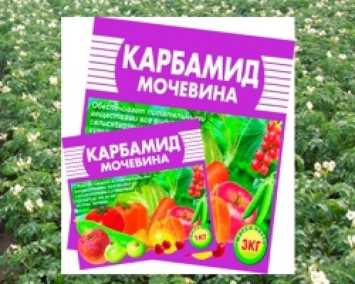 Можно ли смешивать железный купорос и мочевину. Препараты для опрыскивания плодовых деревьев