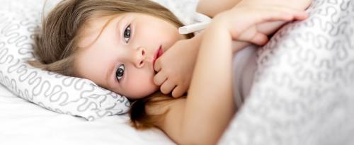 При какой температуре можно укрывать розы на зиму. Зачем нужно укрывать кусты на зиму 02