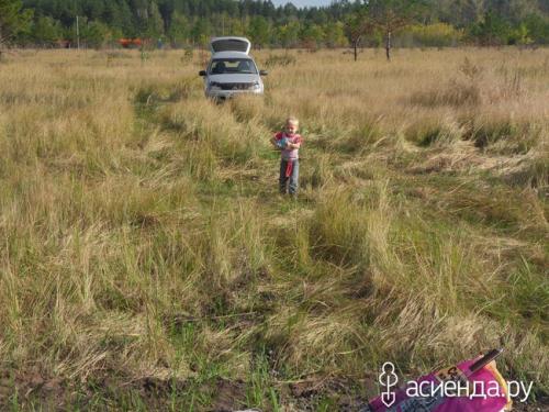 Если не пахать огород. А нужно ли пахать?