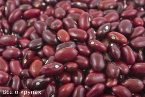 Фасоль это крупа. Чем полезна фасоль