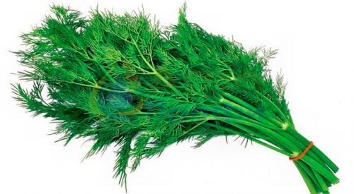 Укроп это овощ. Укроп — описание