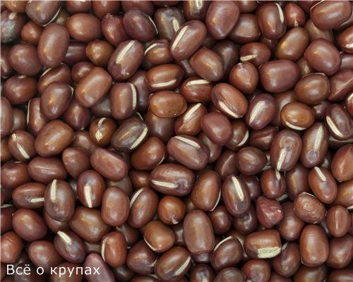 Фасоль это крупа. Чем полезна фасоль