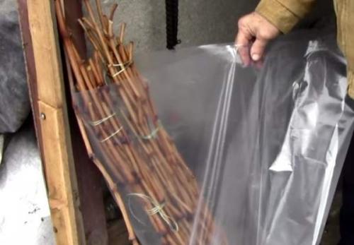 Как правильно хранить чубуки винограда. Где хранить черенки винограда до весны 06