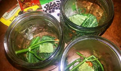 Как солить свинушки горячим способом в банках с предварительным вымачиванием