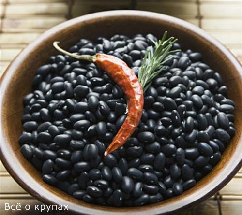 Фасоль это крупа. Чем полезна фасоль