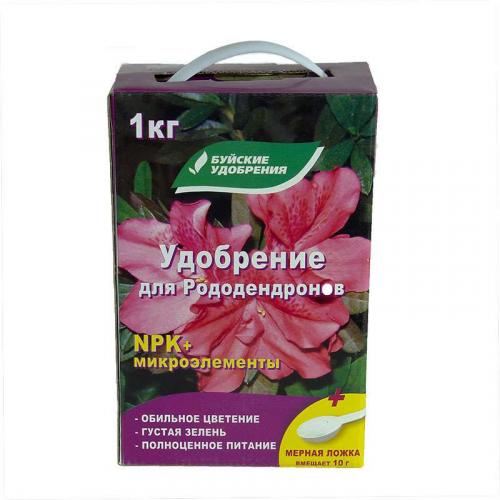 Когда укрывать на зиму рододендрон в мос обл. Подготовка растения к зимовке