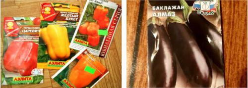 Подкормка для баклажан и перцев. Подкормка для баклажанов и перцев: народные средства плюс удобрение Фаско