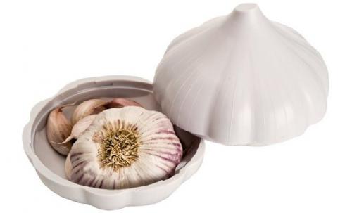 Хранение чеснока в масле. Хранение очищенного чеснока