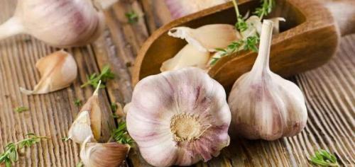 Как хранить чеснок в погребе. Подготовка и условия хранения