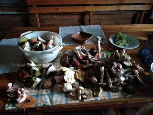 Как отличить рыжик от свинушки. Гриб Свинушка тонкая ядовит или нет