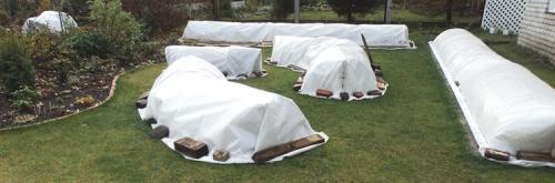 Геотекстиль укрывной материал для роз. Геотекстиль для укрытия роз