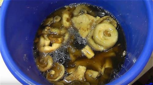 Как солить грузди холодным способом в домашних условиях