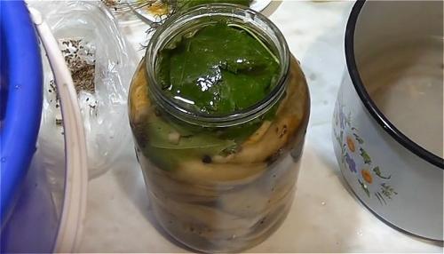 Как солить грузди холодным способом в домашних условиях