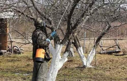 Опрыскивание карбамидом и медным купоросом осенью. Как приготовить смесь