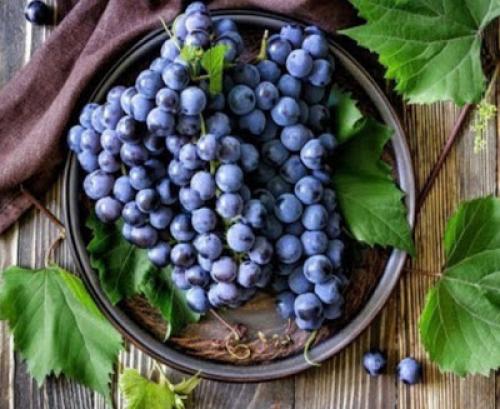 Как сохранить виноград в квартире. Как хранить виноград - узнайте секреты!