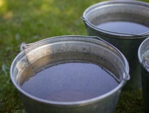 Как укрыть яблоню на зиму в сибири. Технология утепления