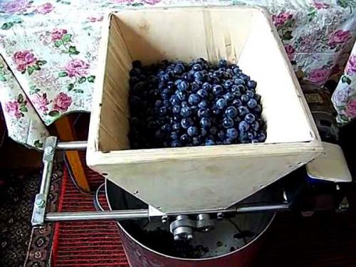 Сок из винограда лидия. Сок из винограда «Лидия»