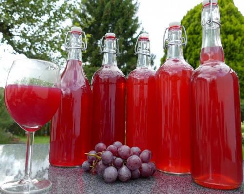 Как выдавить сок из винограда. Виноградный сок без пресса, соковыжималки и соковарки 09