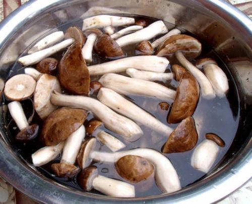 Как варить подберезовики для заморозки. Сколько варить свежие подберезовики?