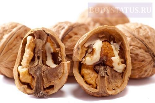 Грецкий орех польза и вред. Польза грецких орехов для организма