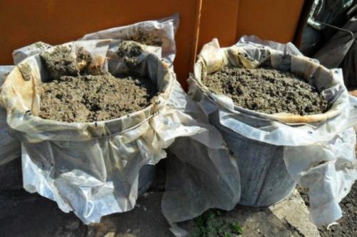 Что надо делать с малиной осенью. Подготовка малинника к зиме, уход за малиной осенью