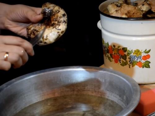 Как переделать соленые грузди. Как солить грузди, чтобы были хрустящими, ароматными и вкусными