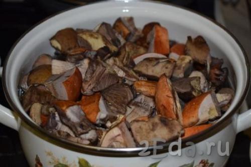 Сколько по времени варить подосиновики и подберезовики. Рассчитываем время варки грибочков правильно 05