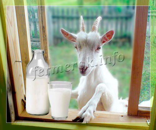 Яблоки красные осенние сорта. Зимние красные сорта яблок 06