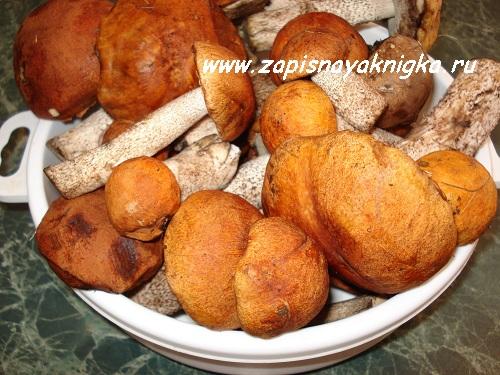 Маринование подосиновиков и подберёзовиков. Рецепт маринованных подосиновиков и подберёзовиков .