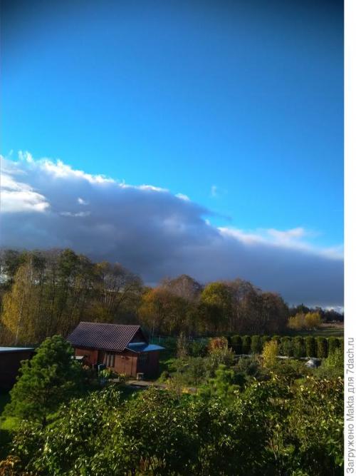 Садовый мир малина ремонтантная. Ремонтантная малина. Как сорта подбирала