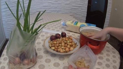 Как вырастить зеленый лук дома без земли. Технология выращивания зеленого лука без земли