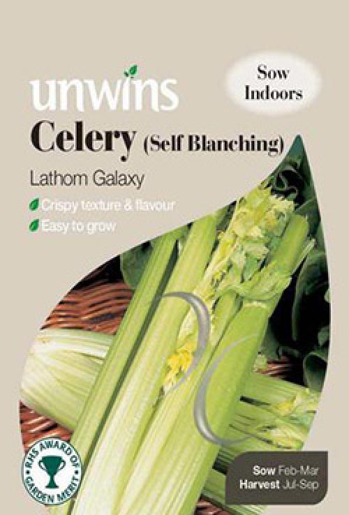 Как отбеливать сельдерей черешковый. Отбеливание сельдерея черешкового 09