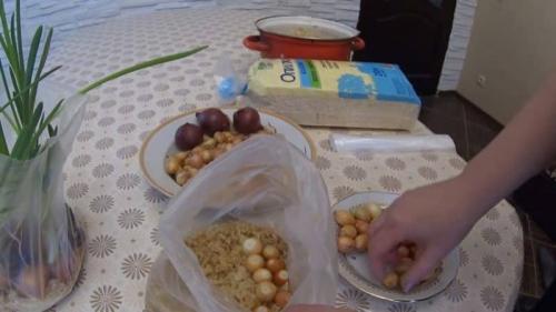 Как вырастить зеленый лук дома без земли. Технология выращивания зеленого лука без земли