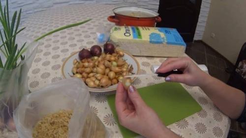 Как вырастить зеленый лук дома без земли. Технология выращивания зеленого лука без земли