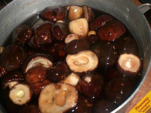 Польский боровик, как готовить. Сколько варить польский гриб 03