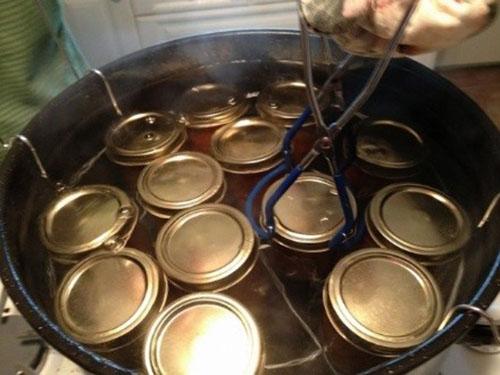 Слива в собственном соку без сахара. Слива дольками для сладкоежек