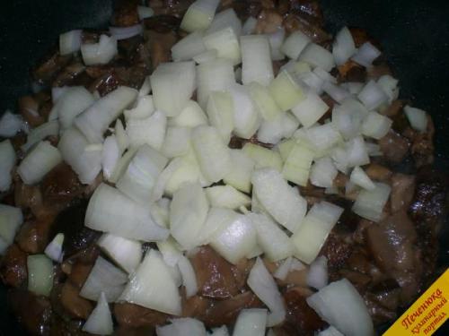 Польский боровик, как готовить. Сколько варить польский гриб 05