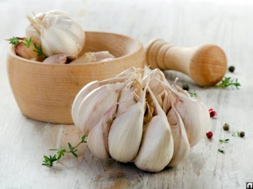 Когда сажать чеснок весной 2019. Когда сажать чеснок весной в открытый грунт в 2019 году