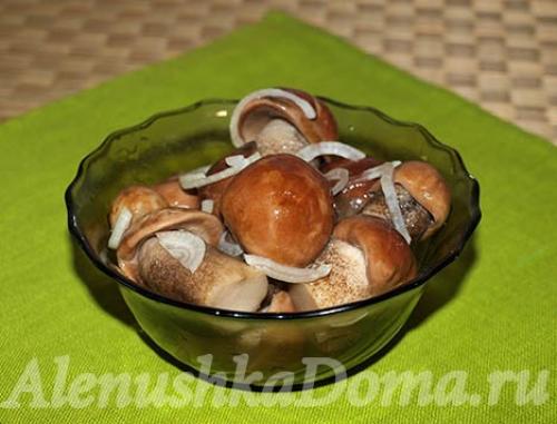 Вкусный рецепт маринования подосиновиков. Маринованные подосиновики