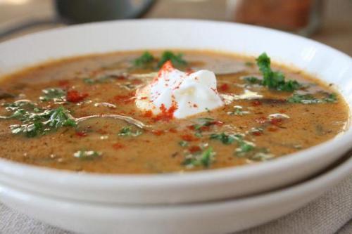 Оленьи рожки грибы ложные. Описание внешнего вида гриба 01