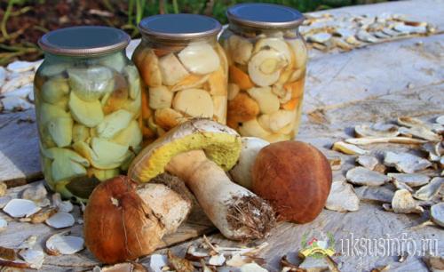 Рассол для соления грибов на 1 литр воды. Основные этапы обработки