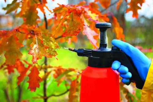 Опрыскивание карбамидом и медным купоросом осенью. Растворы для осенней обработки сада