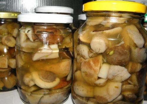 Маринованные подосиновики с лимонной кислотой. Рецепты мариновки подосиновиков на зиму