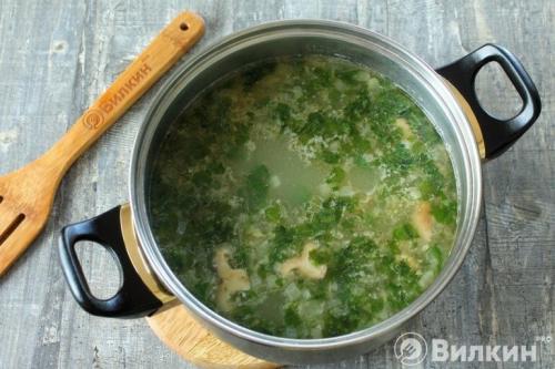 Суп из рыжиков