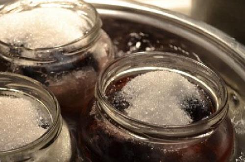 Слива в собственном соку без сахара. Слива дольками для сладкоежек