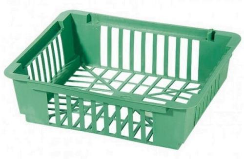 Луковицы гладиолусов подготовка к посадке. Луковицы гладиолусов — подготовка, виды посадок в открытый грунт