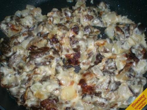 Польский боровик, как готовить. Сколько варить польский гриб 08