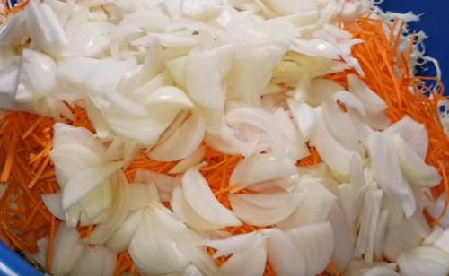 Салат из капусты и перца на зиму без стерилизации. Салат из капусты на зиму в банках с болгарским перцем, морковью и луком