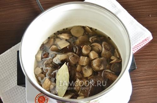 Маринование подосиновиков и подберезовиков. Рецепт маринованных подосиновиков и подберёзовиков . 10