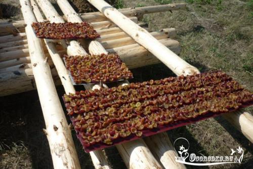 Слива на зиму.  Сушим (вялим) сливу